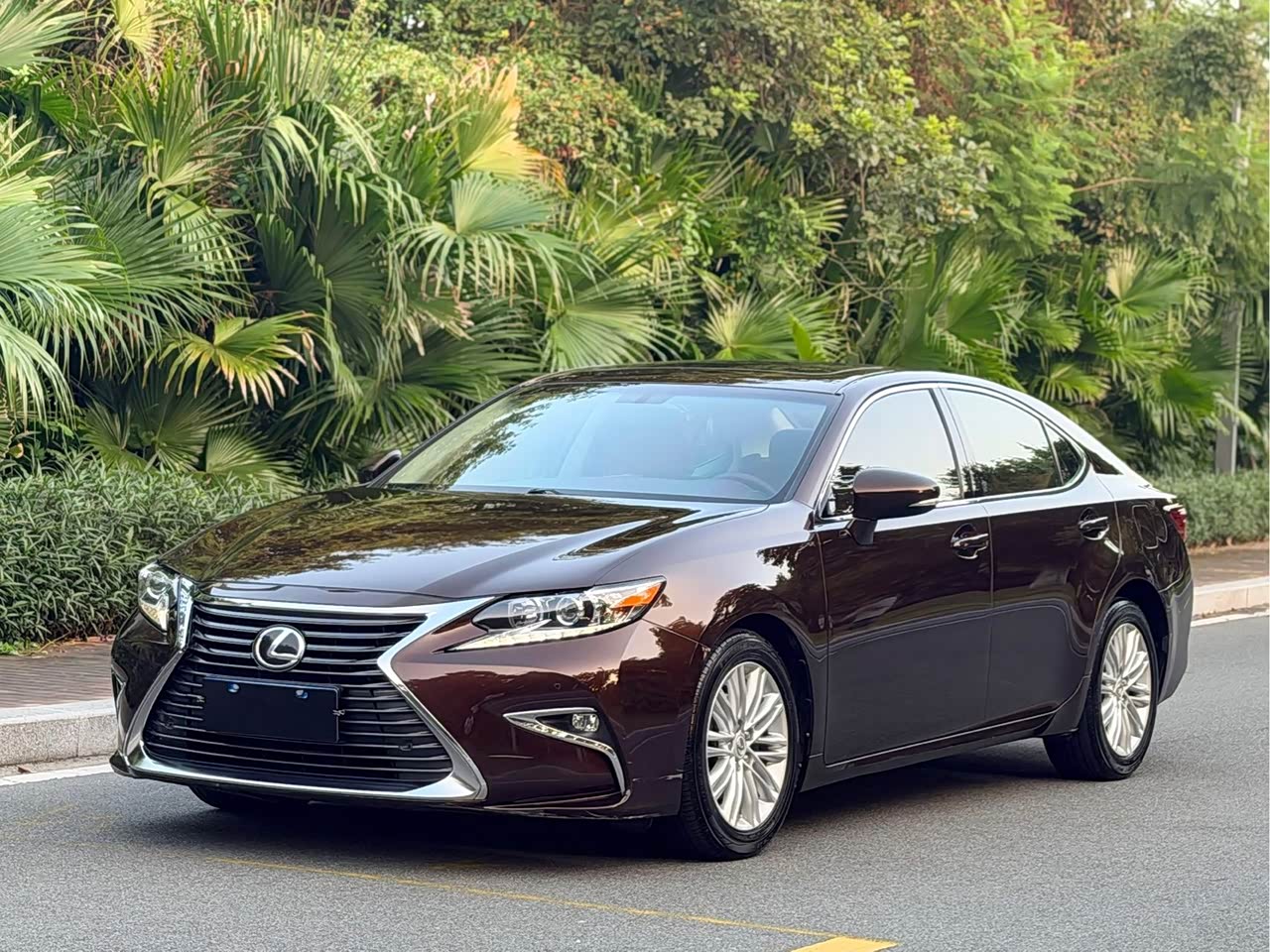 LexusES 2015 200 Elite