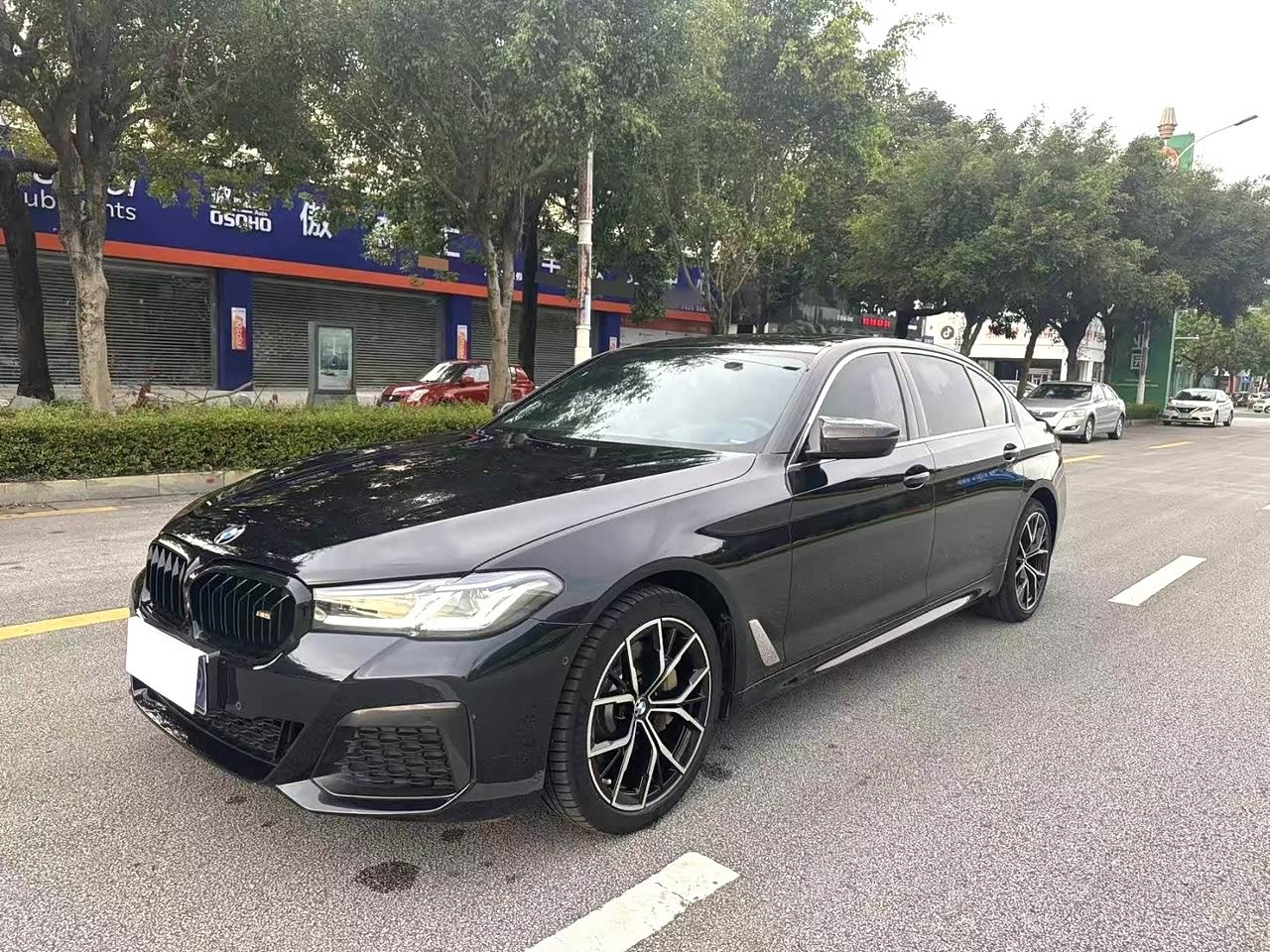 BMW5 Series 2019 525Li Luxury