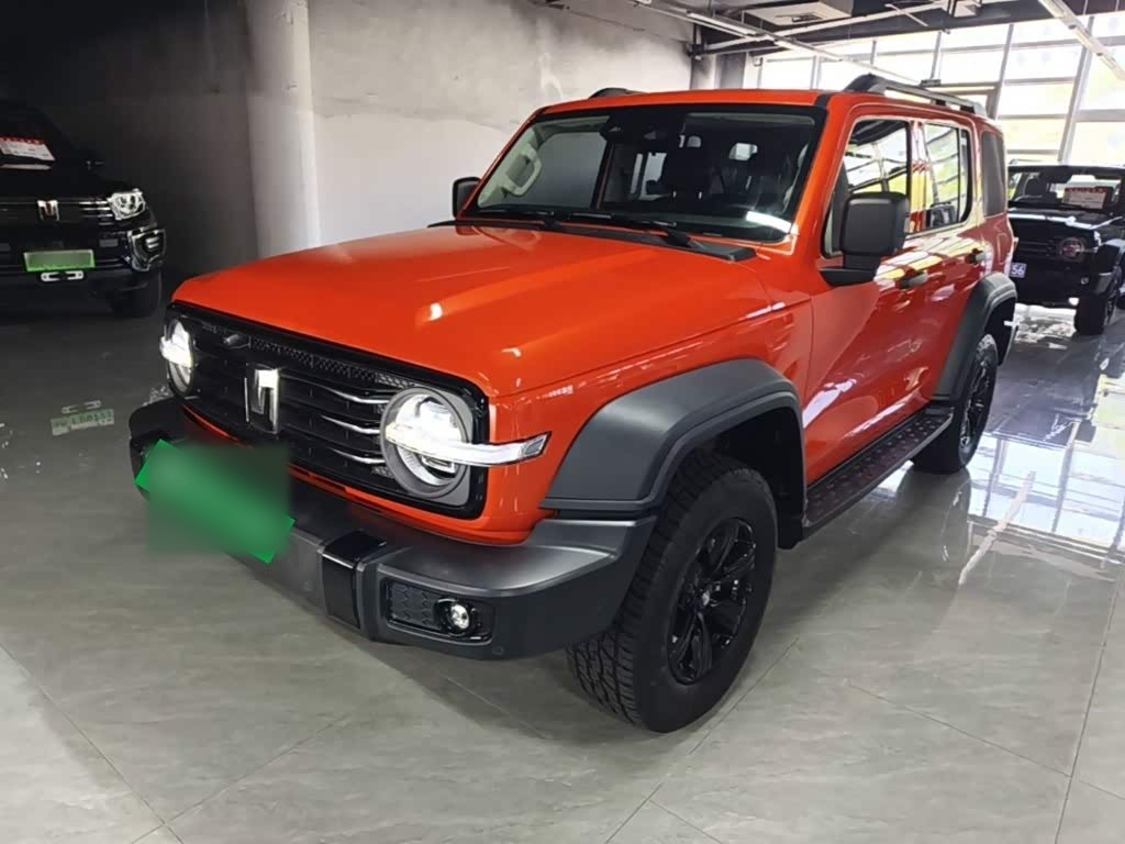 300 2025 2.0T Petrol Conqueror