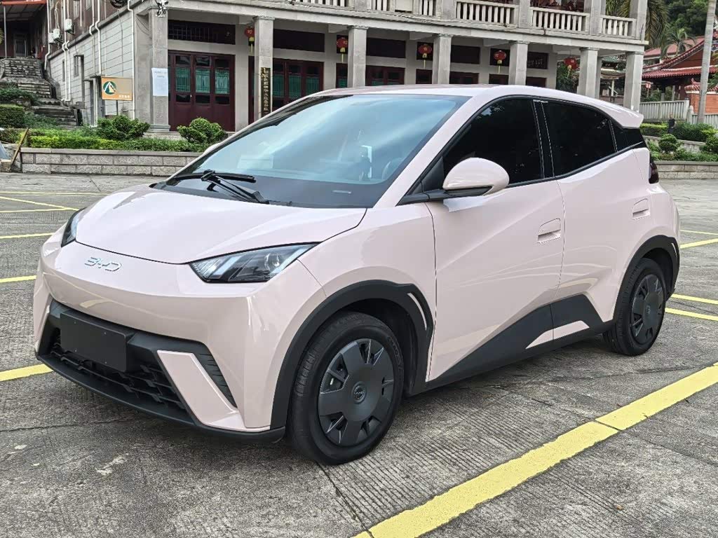 Seagull 2025 305km