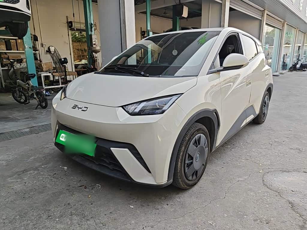 Seagull 2025 305km