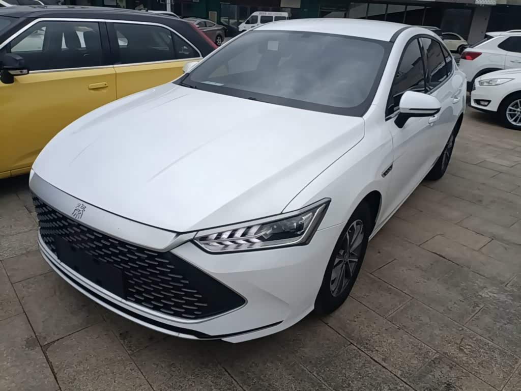 Qin PLUS 2024 Honor DM-i 55KM Leading