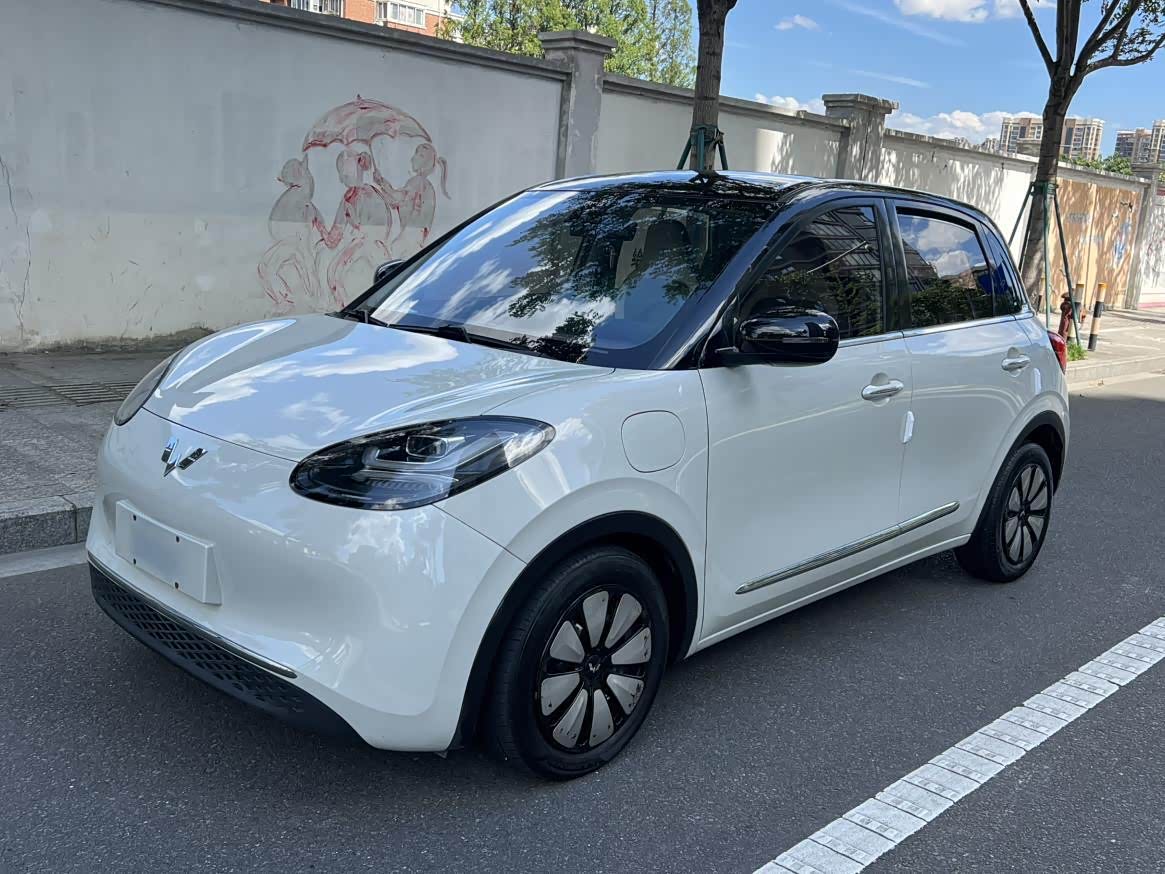 Bingo 2023 333km