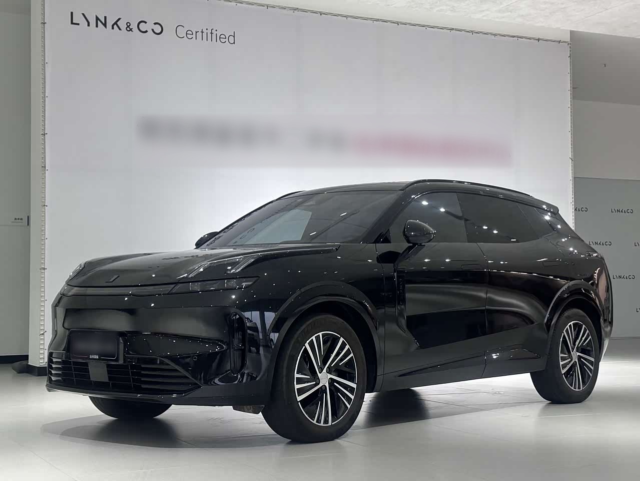 08 EM-P 2025 245km Extended Range Pro