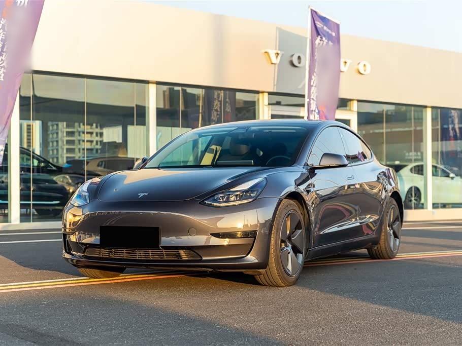Model 3 2021 Facelift Standard Range RWD Upgraded 3D1