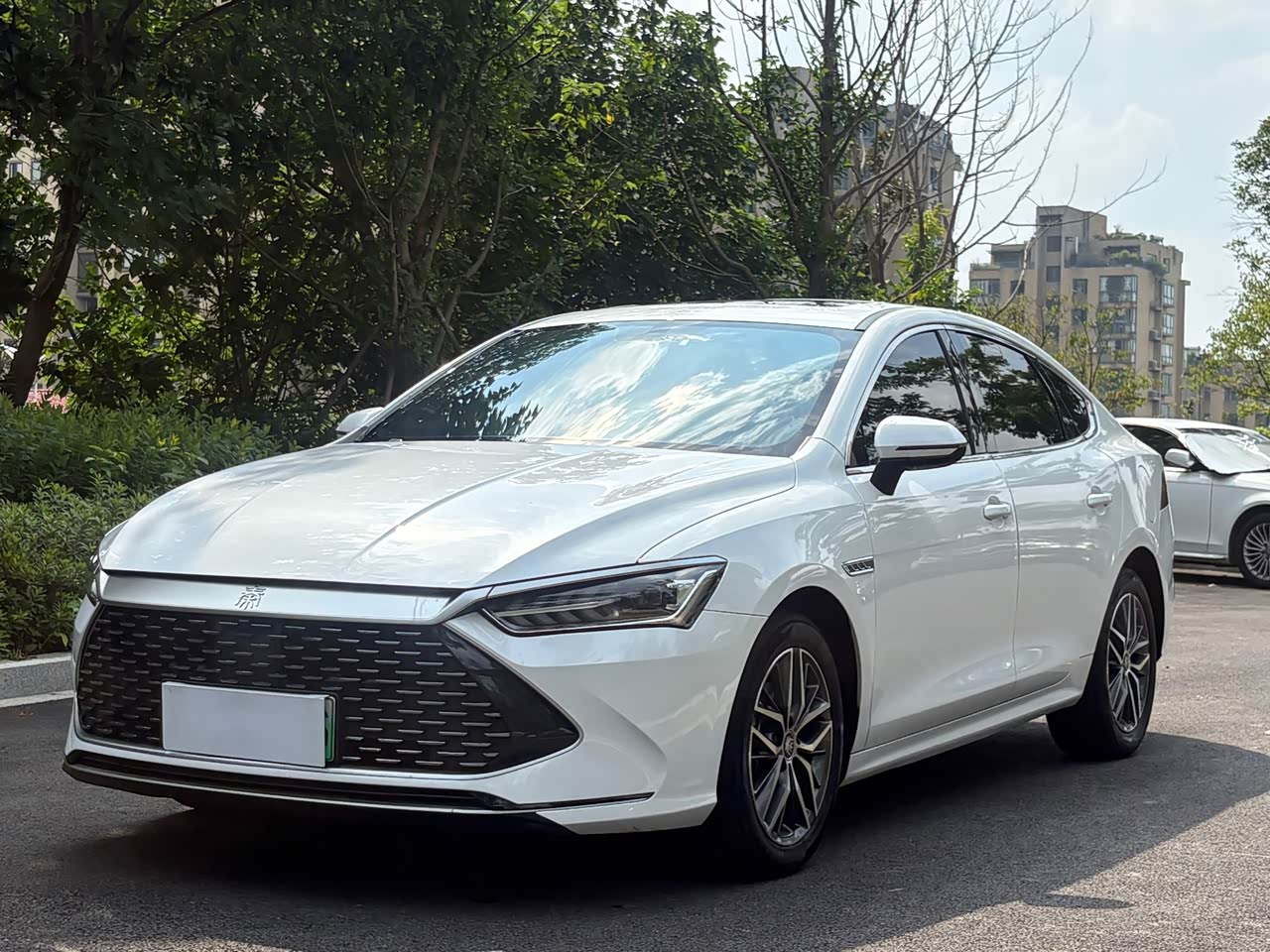 Qin PLUS 2021 DM-i 55KM Premium