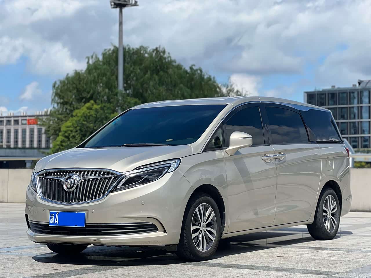 GL8 2017 ES 28T Luxury China V