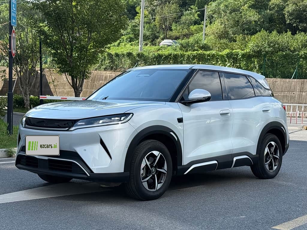 Yuan UP 2025 ADAS 401KM Leading