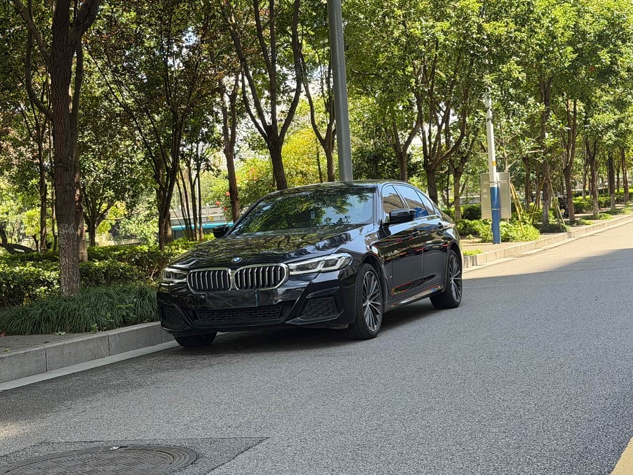 BMW5 Series 2021 530Li Leading M Sport Package