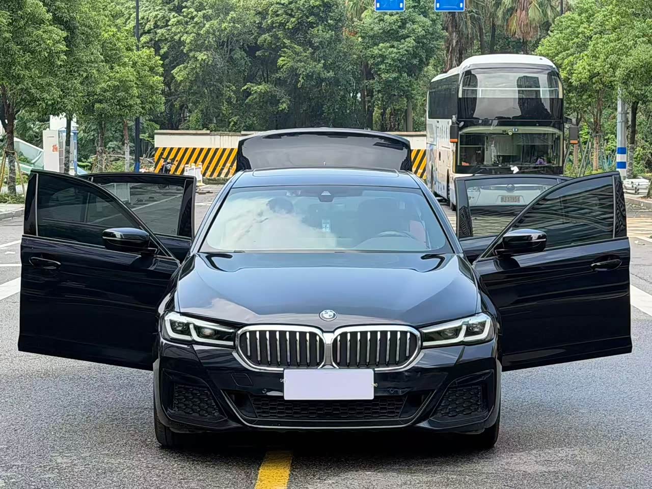 BMW5 Series 2020 530Li Leading M Sport Package