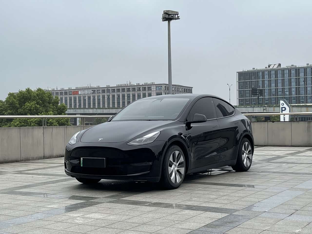 Model Y 2021 Standard Range RWD