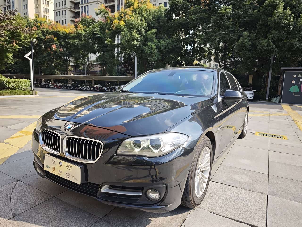 BMW5 Series 2014 525Li Leading