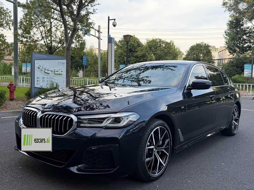 BMW5 Series 2021 530Li Exclusive M Sport Package
