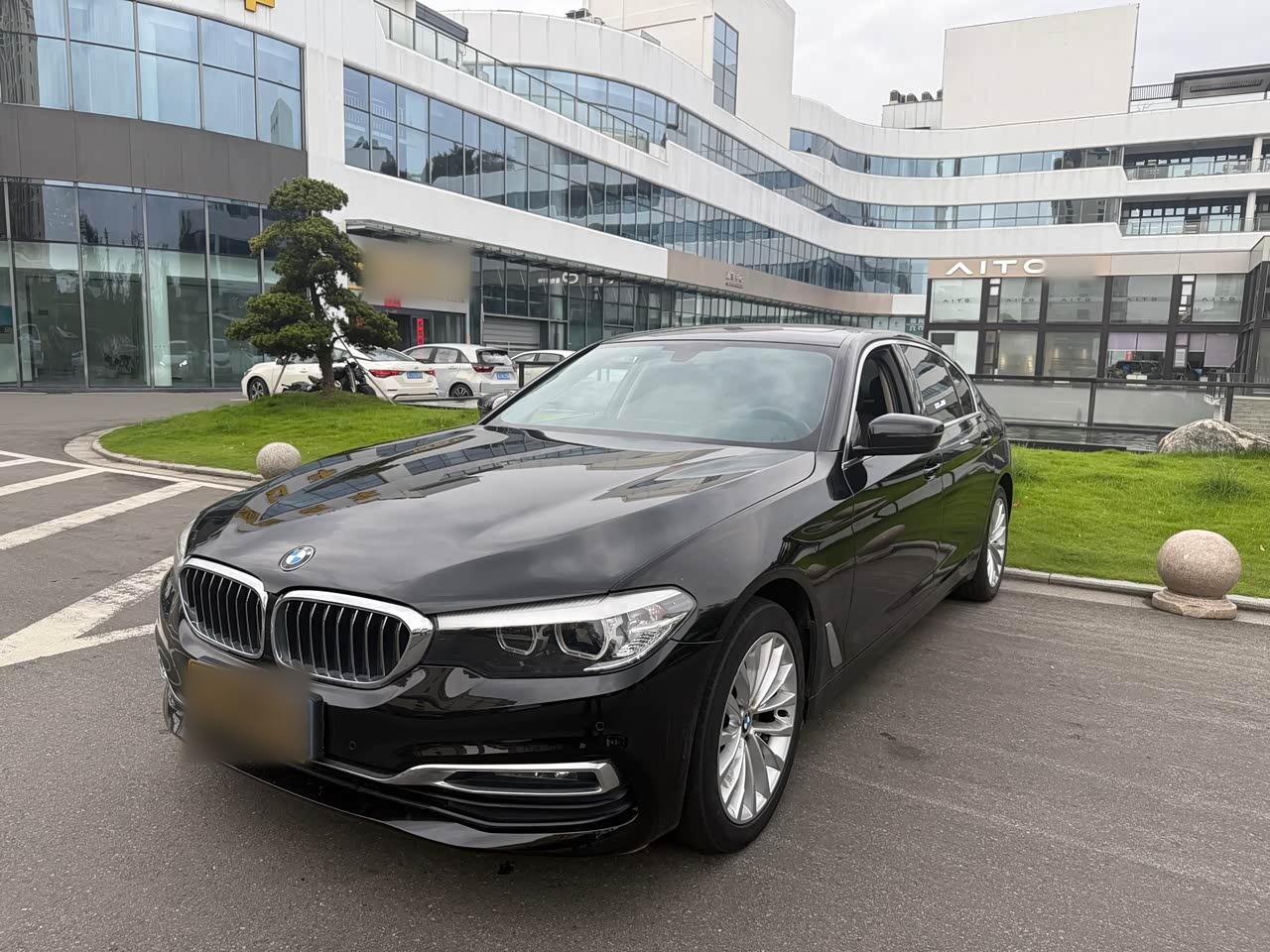 BMW5 Series 2019 525Li Luxury