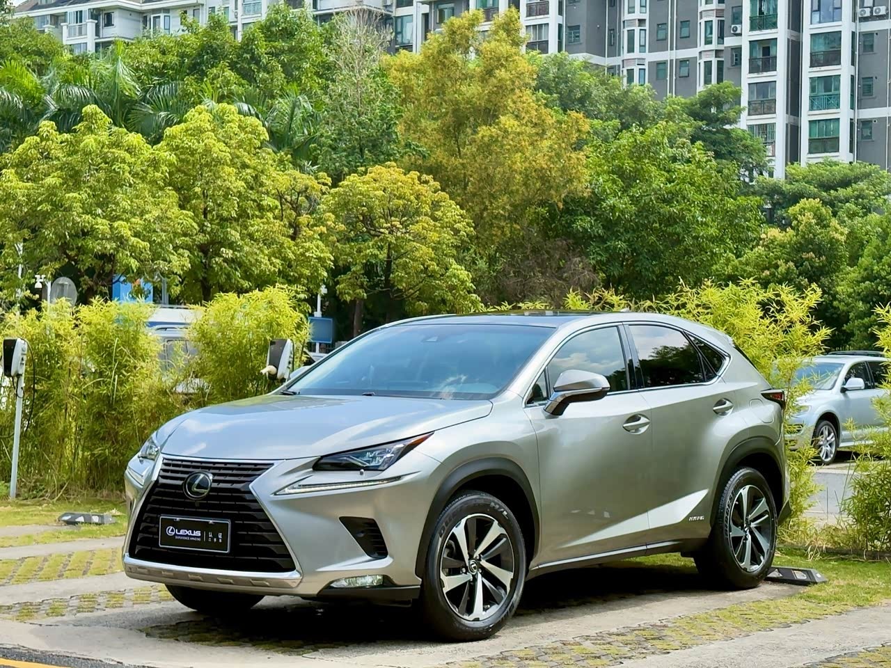 LexusNX 2018 300h China V