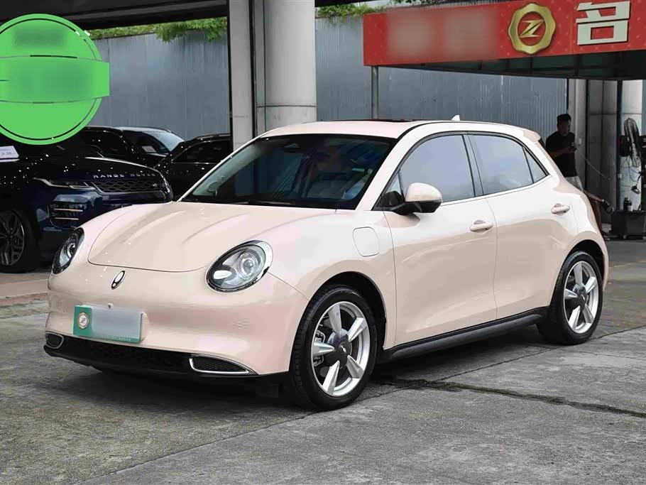 Good Cat 2022 400km Standard Range Premium LFP