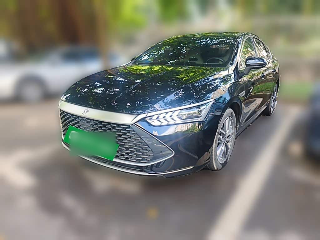 Qin PLUS 2024 Honor DM-i 55KM
