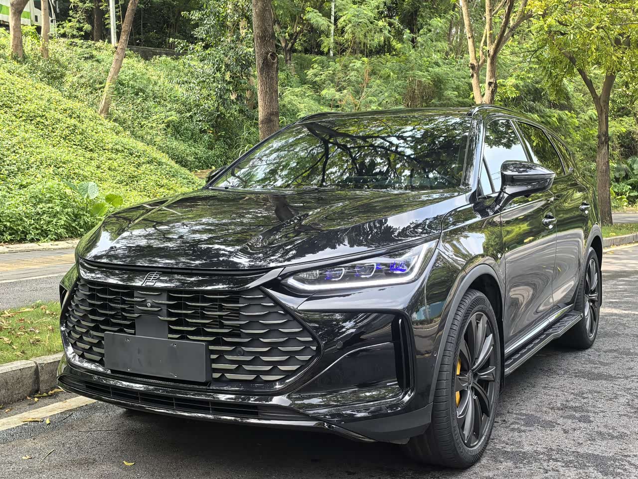 Tang EV 2024 DM-p