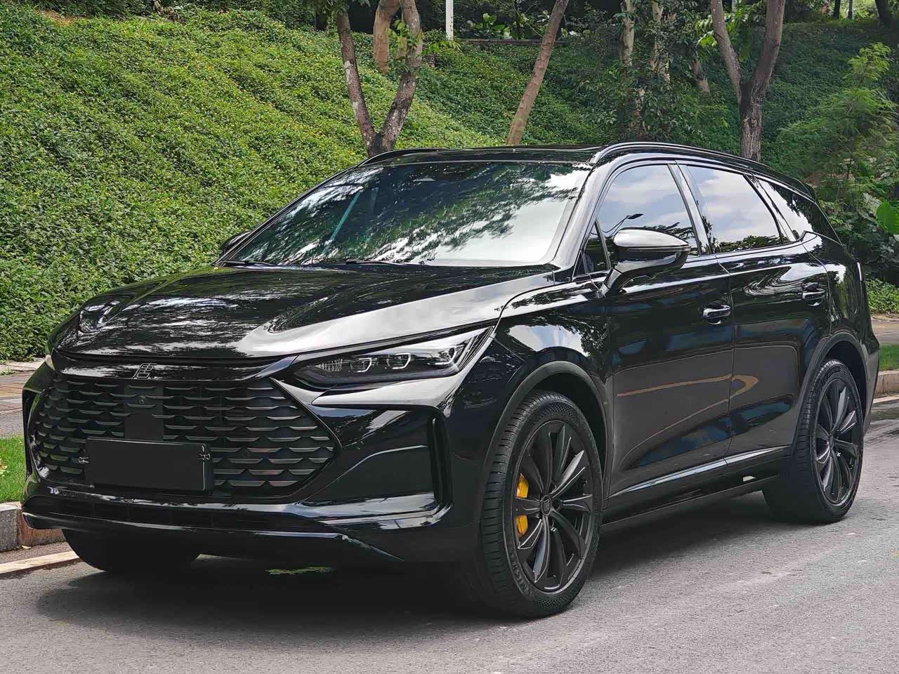 Tang EV 2024 Facelift DM-p