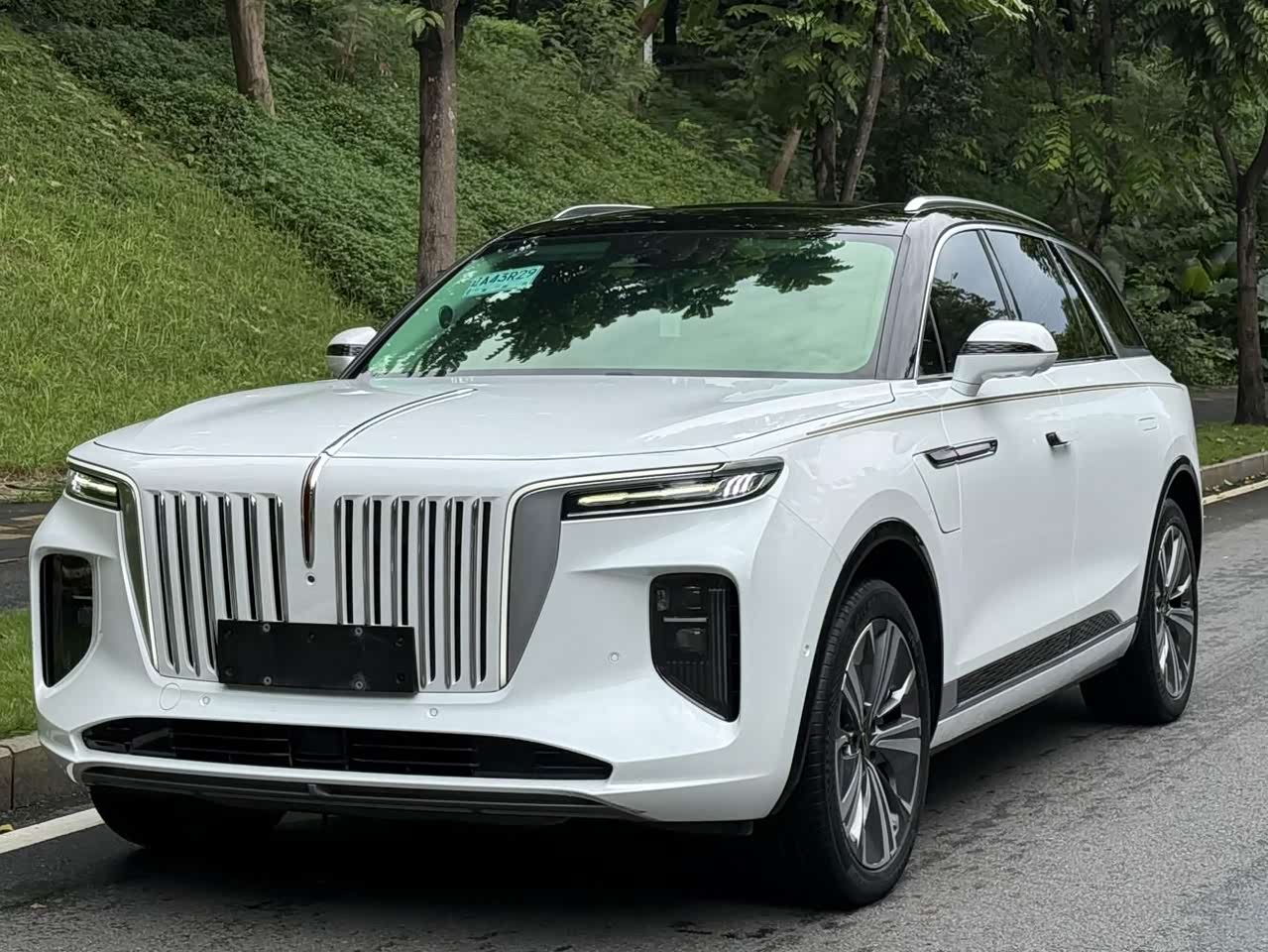 E-HS9 2021 510km 6-Seater