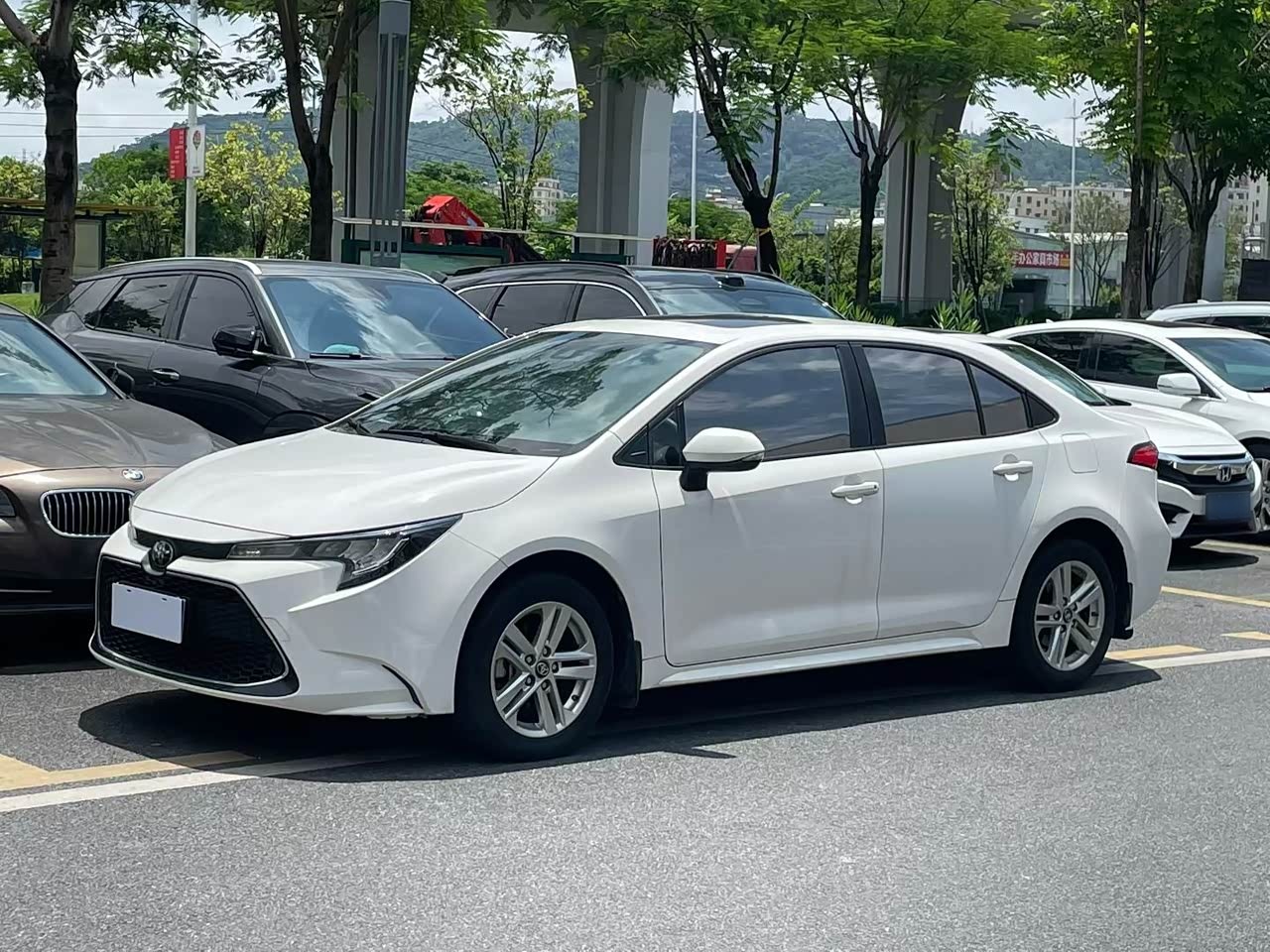 Levin 2022 185T CVTLuxury