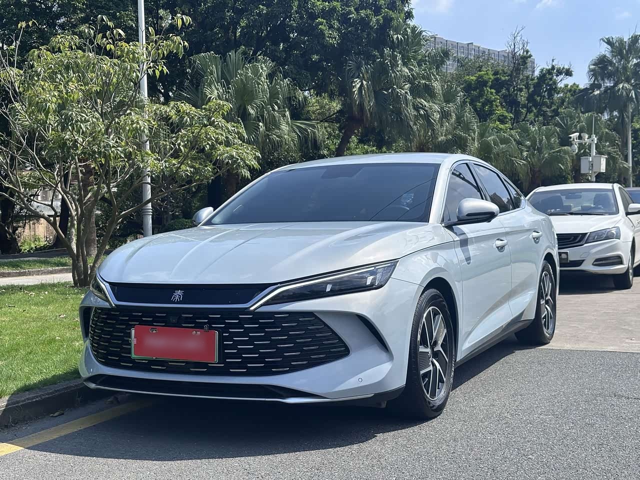 Qin L 2024 DM-i 80KM