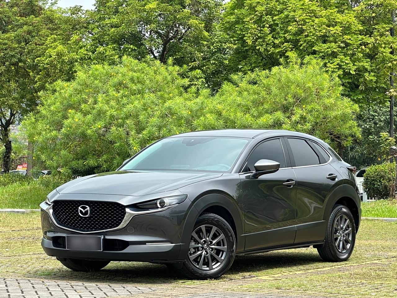 MazdaCX-30 2024 2.0L MT