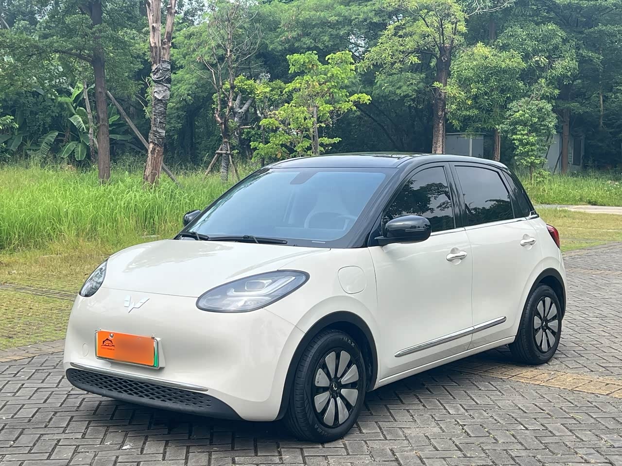Bingo 2024 410km Exclusive