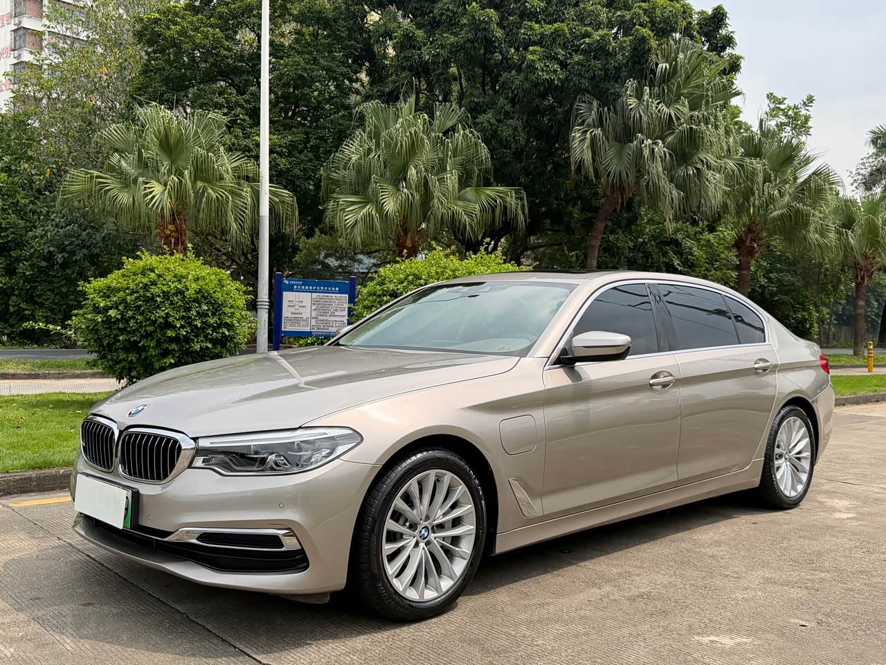 BMW5 Series EV 2020 Upgraded 530Le Luxury