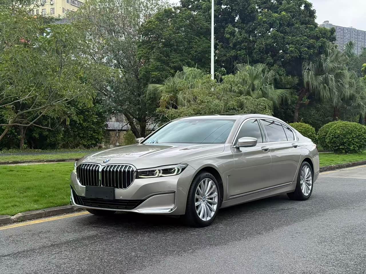 BMW7 Series 2021 730Li Luxury