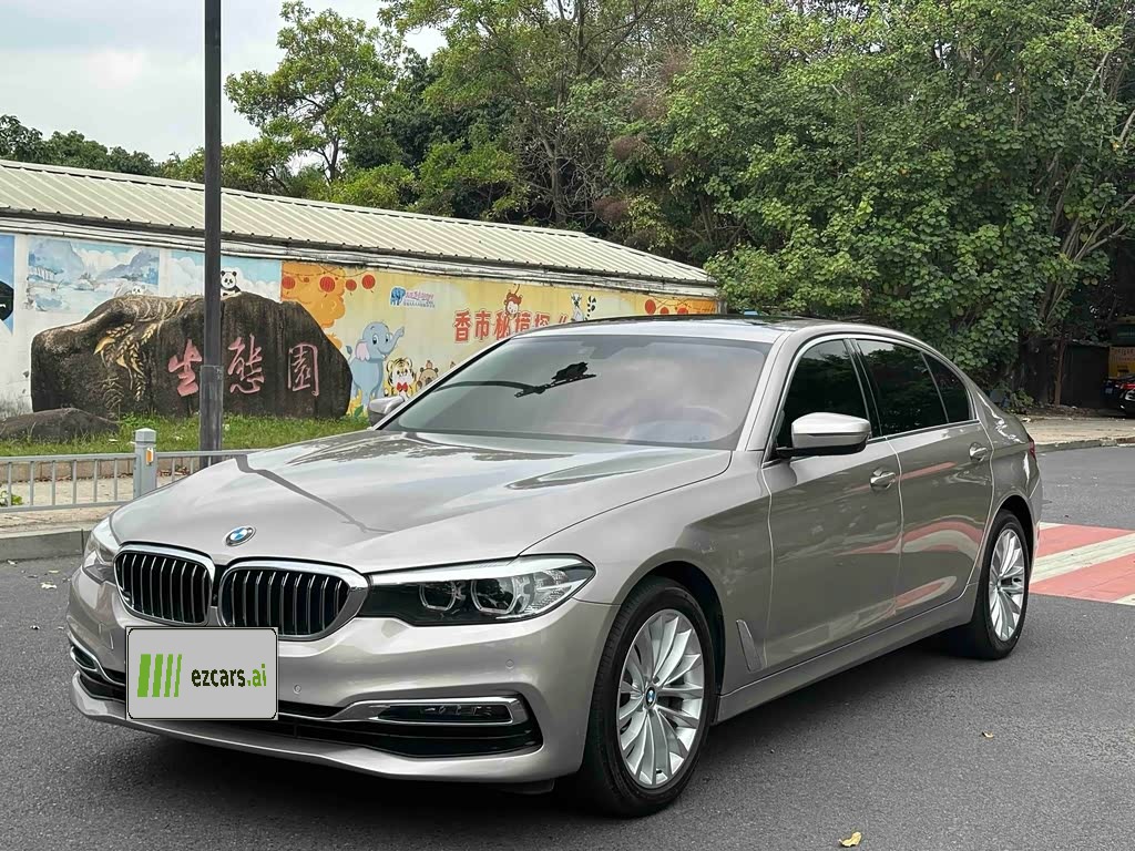 BMW5 Series 2019 525Li Luxury