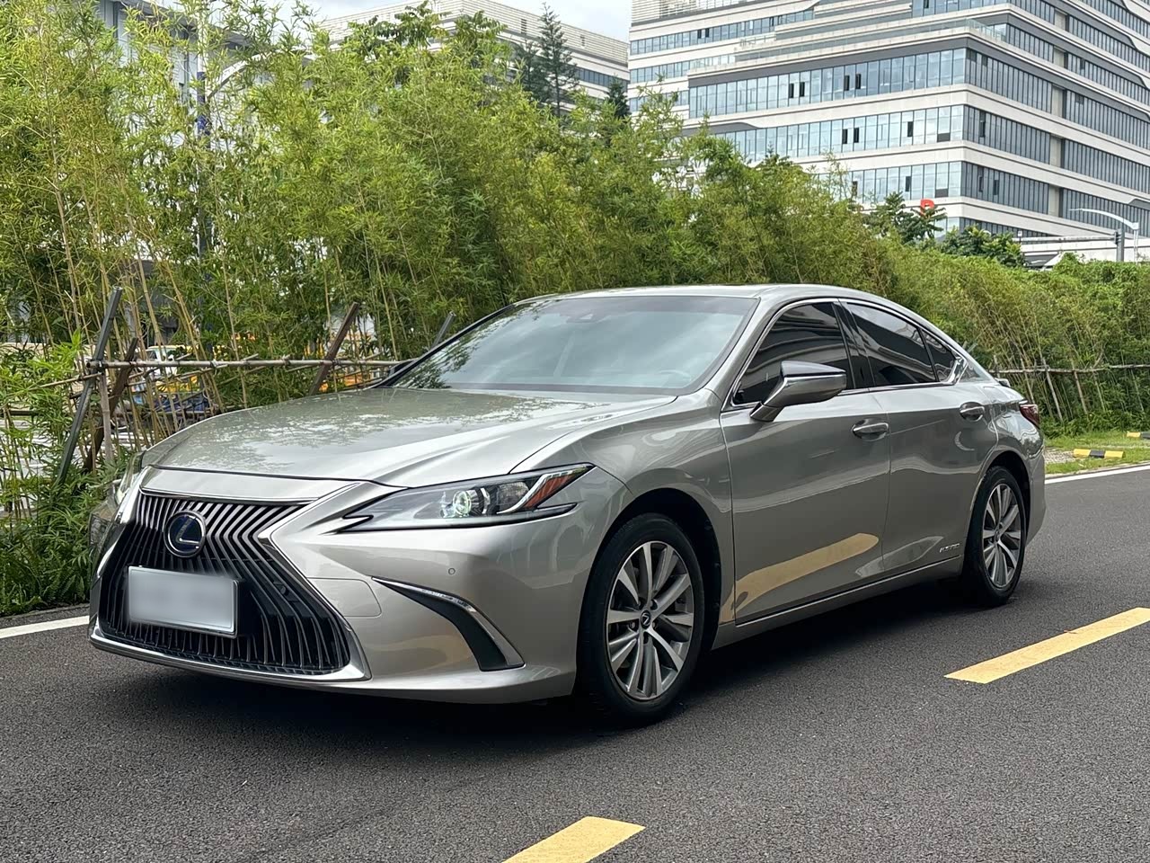 LexusES 2020 300h Excellence China V