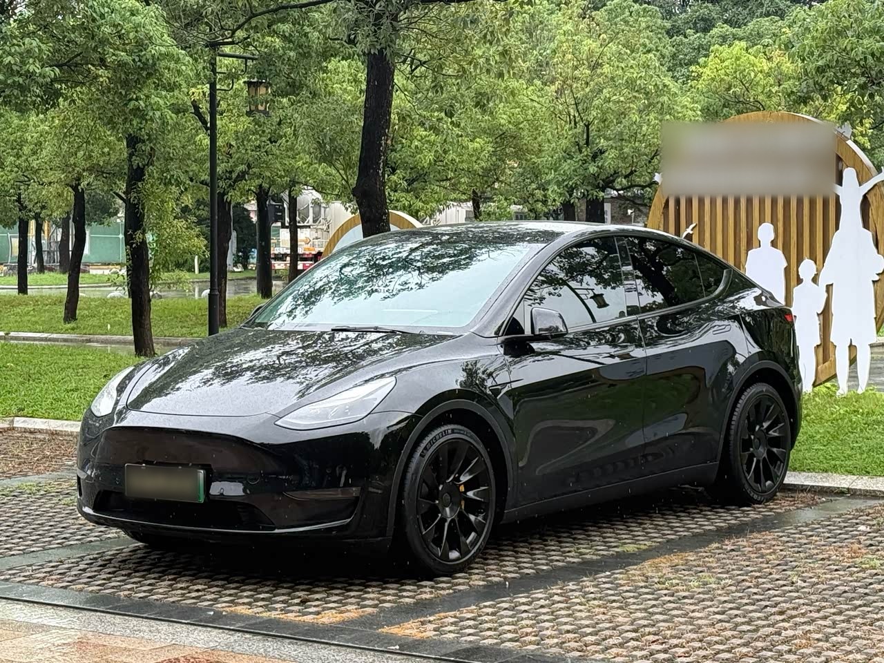 Model Y 2021 Standard Range RWD