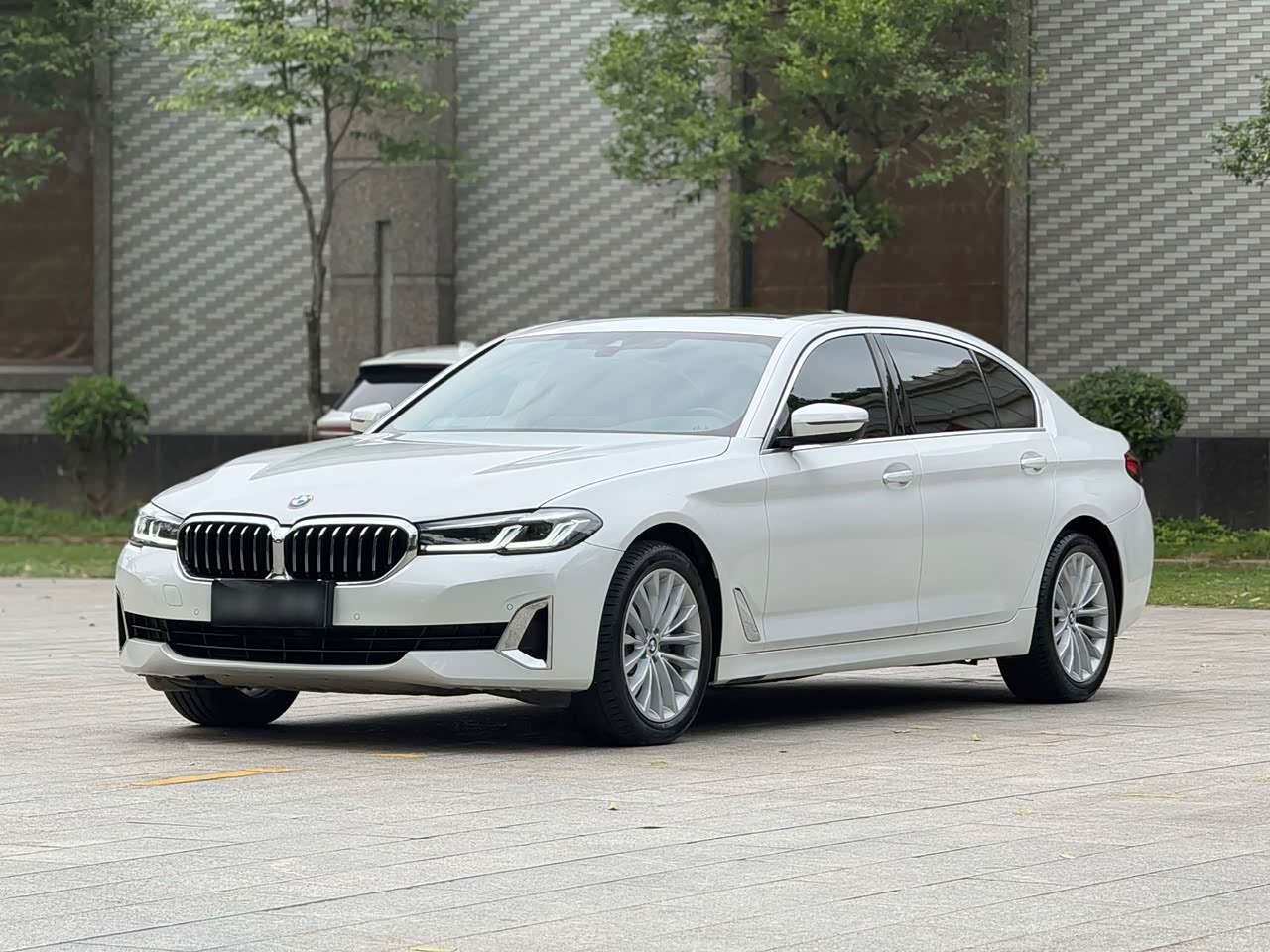 BMW5 Series 2021 525Li Luxury
