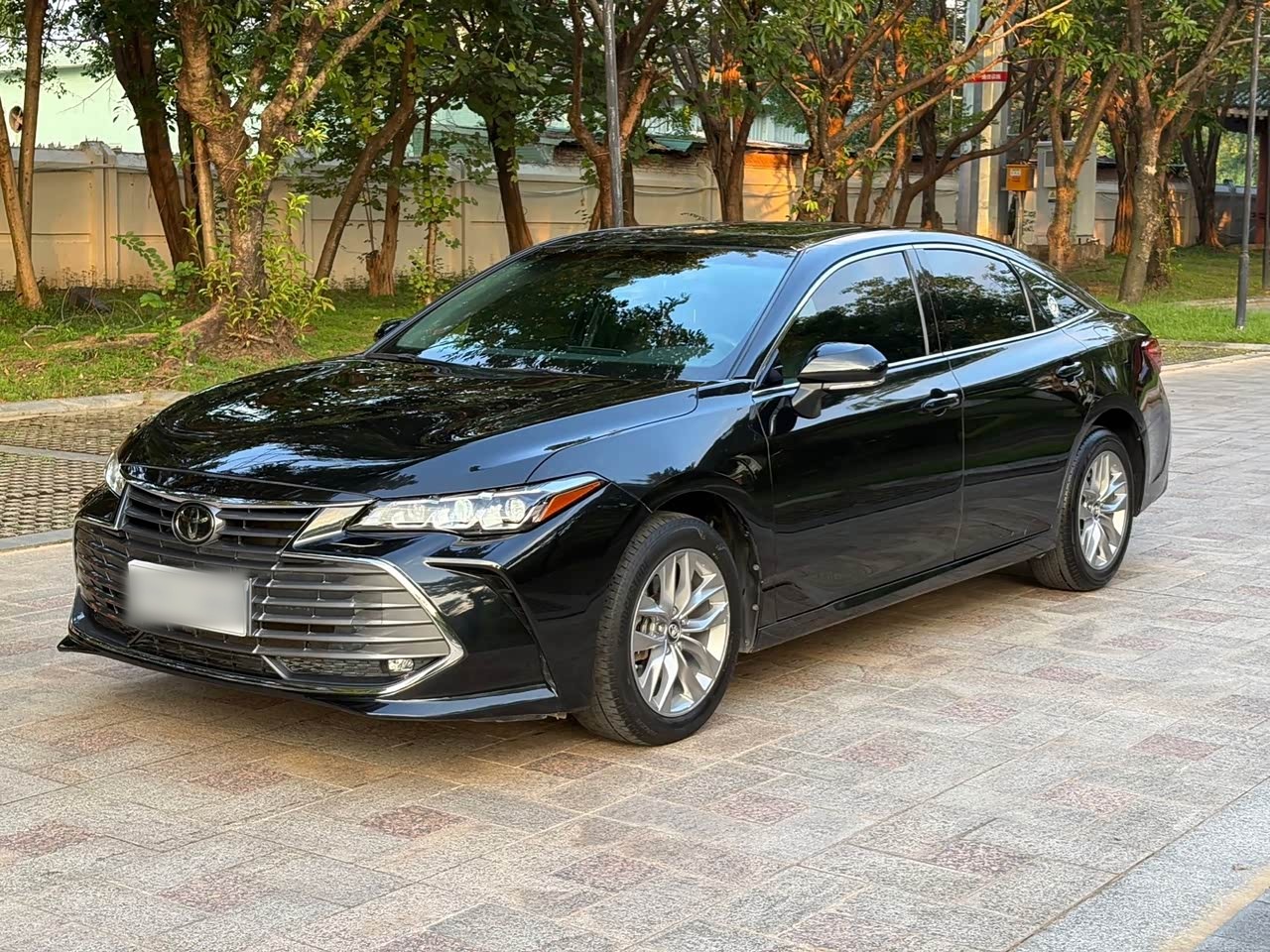 Avalon 2019 2.0L Progressive China VI