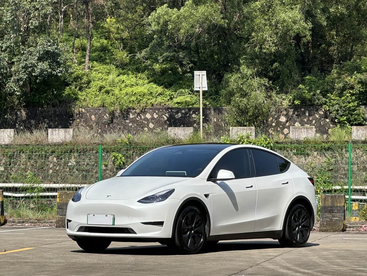 Model Y 2024 RWD