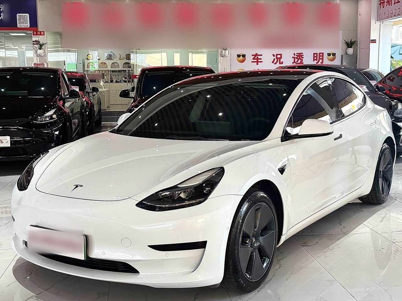 Model 3 2021 Facelift Standard Range RWD Upgraded 3D1