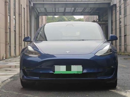 Model 3 2021 Performance AWD 3D6