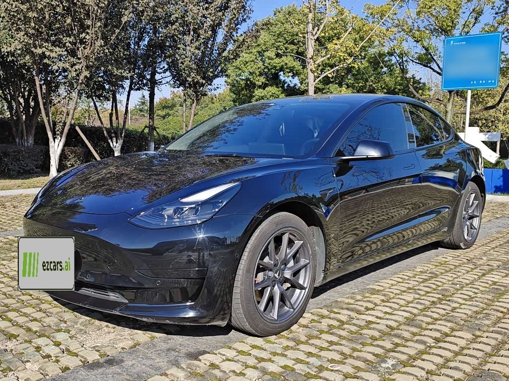 Model 3 2021 Facelift Standard Range RWD Upgraded 3D1