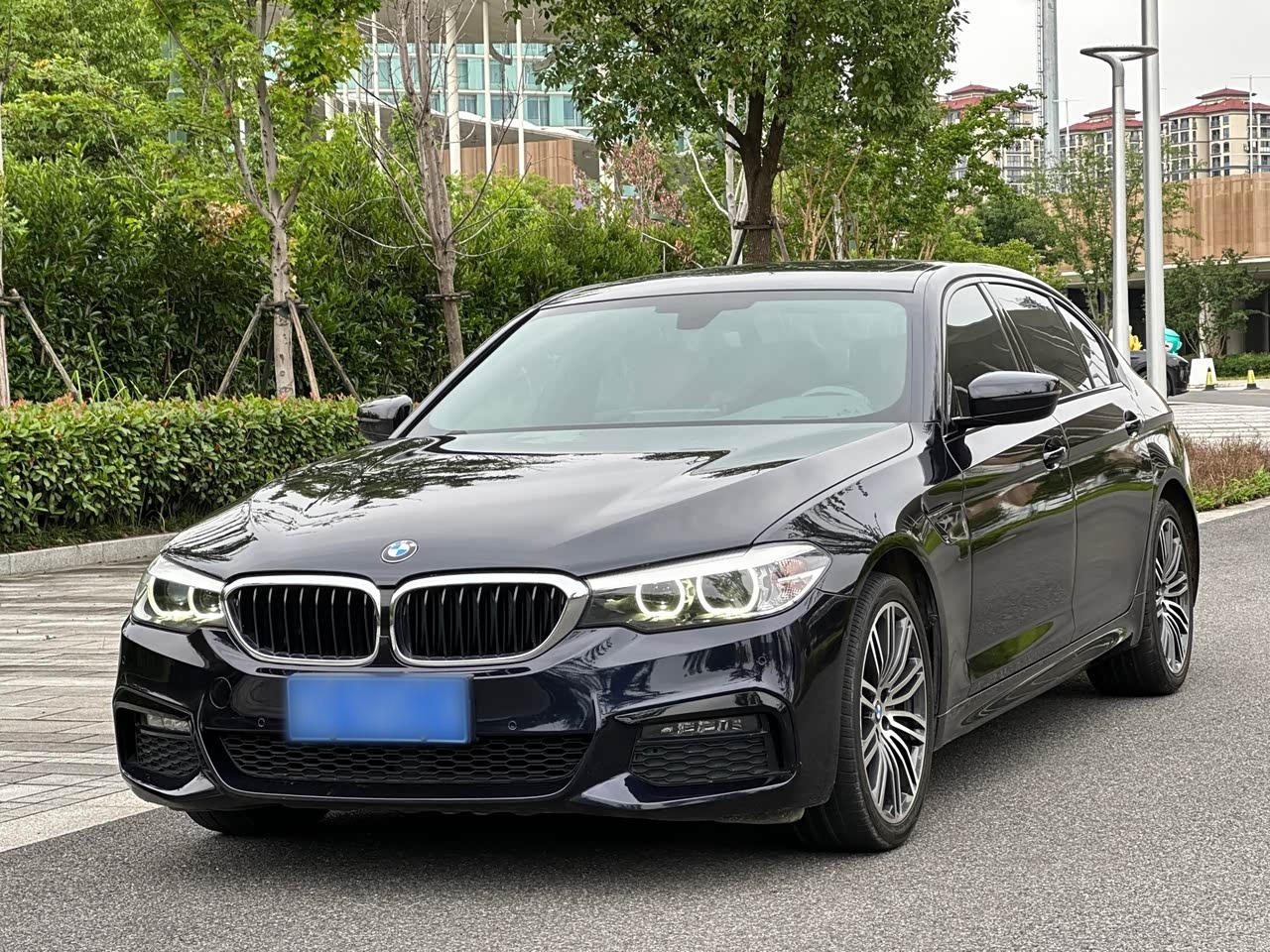 BMW5 Series 2019 530Li Leading M Sport Package