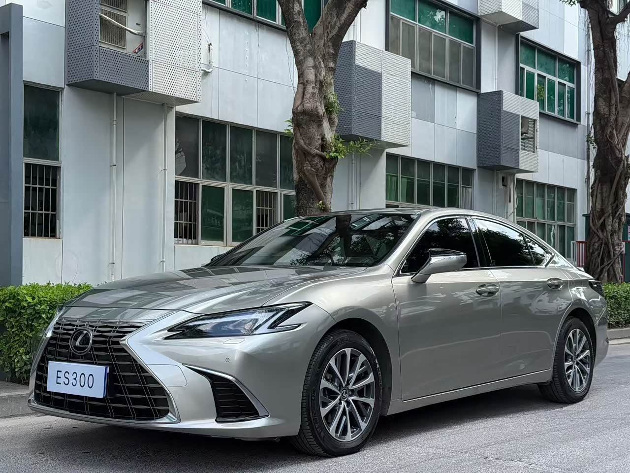 LexusES 2025 300h Exclusive