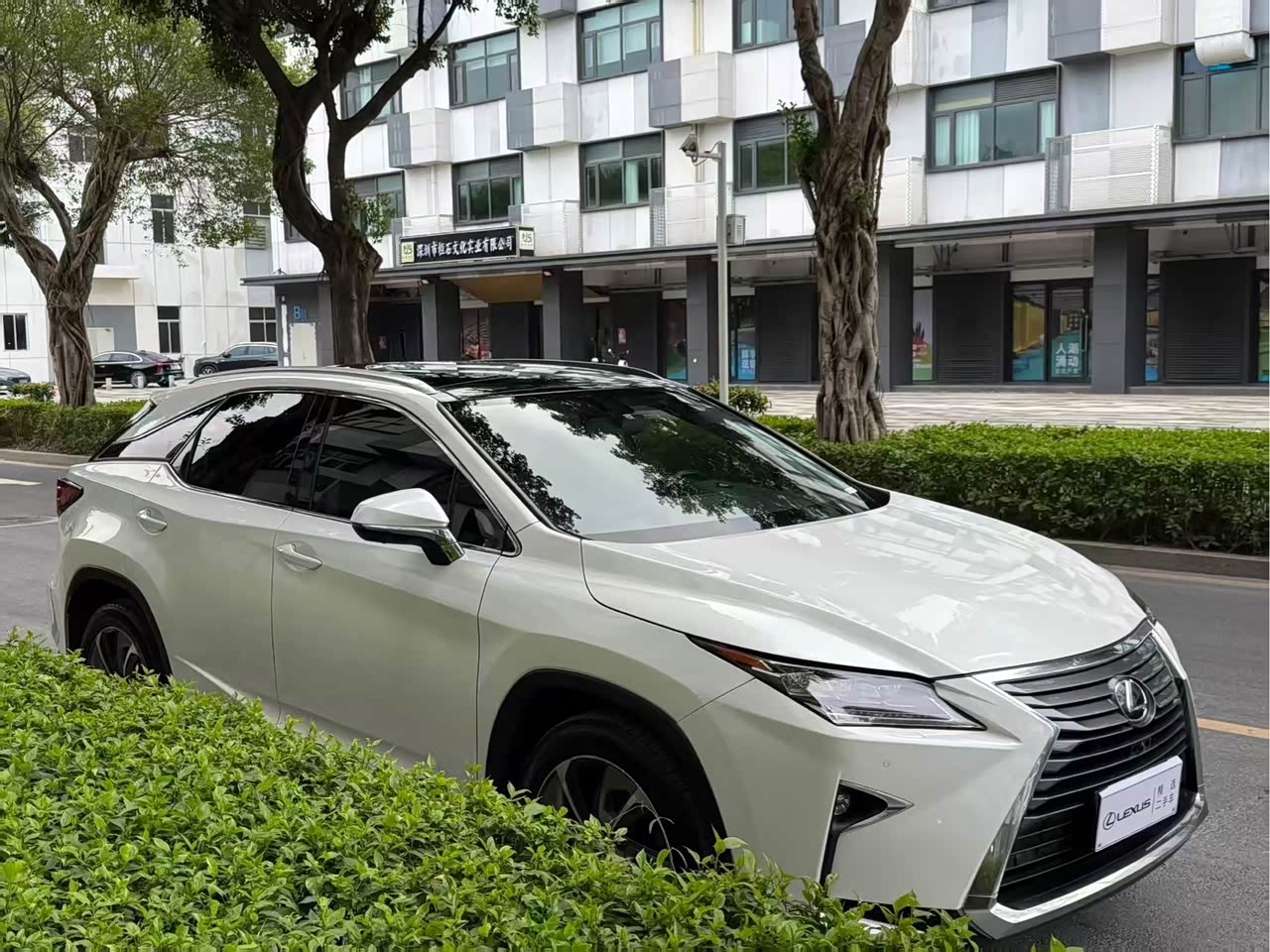 LexusRX 2016 300 AWD Elegant China V