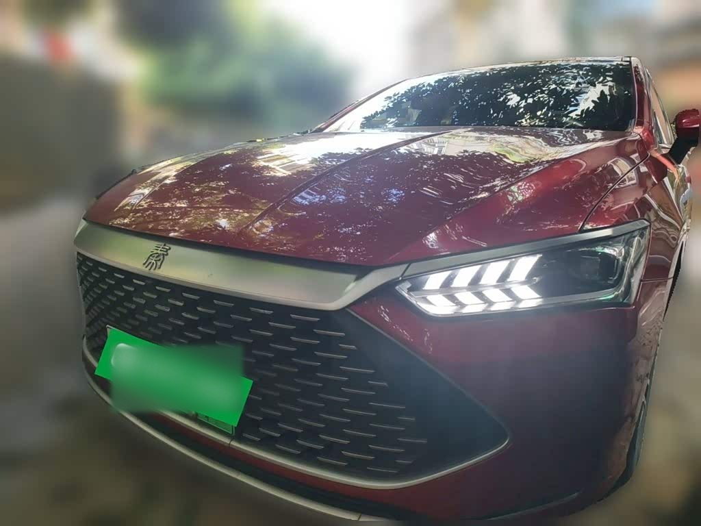 Qin PLUS 2021 DM-i 55KM Flagship