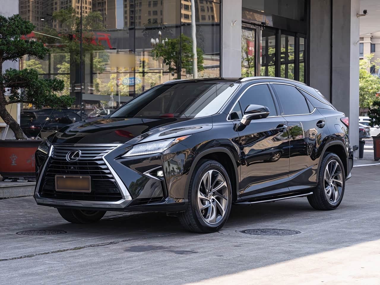 LexusRX 2016 300 AWD Elegant China VI