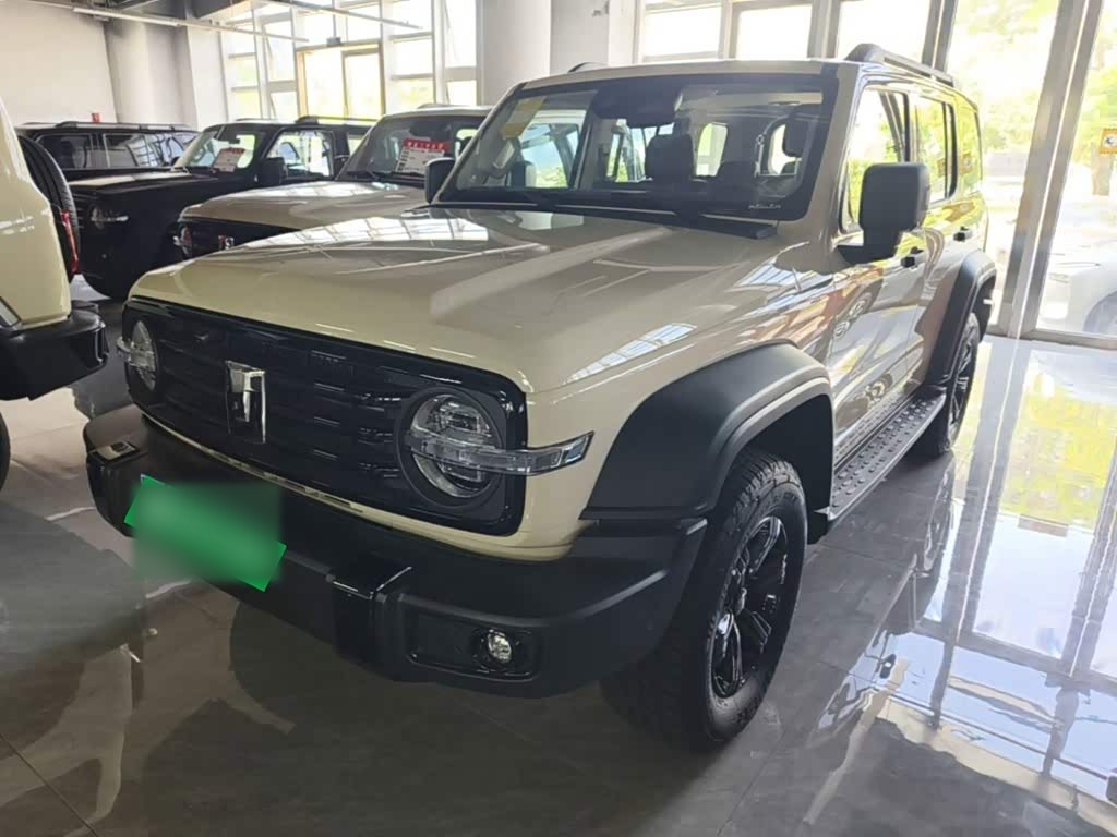300 2025 2.0T Petrol Conqueror