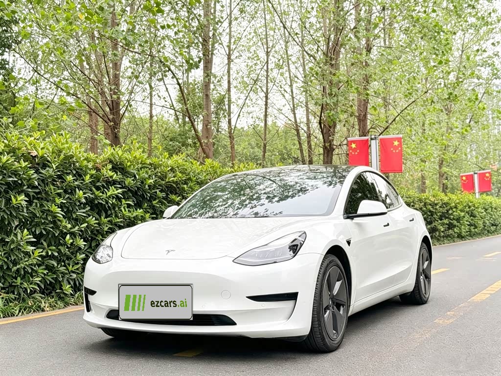 Model 3 2021 Standard Range RWD Upgraded