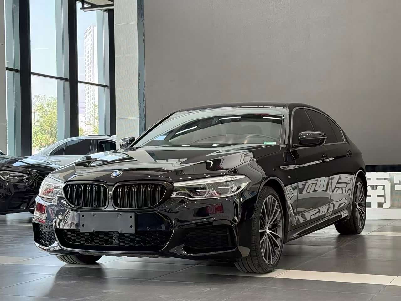 BMW5 Series 2020 530Li xDrive M Sport Package