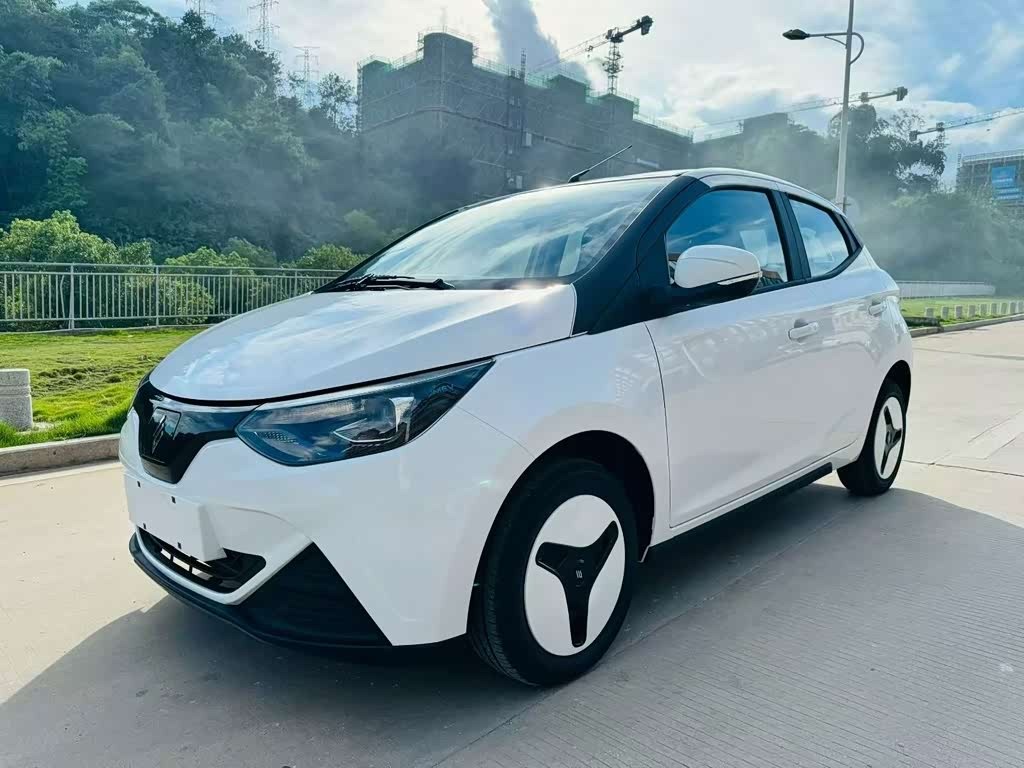 EV2 2024 201km Luxury