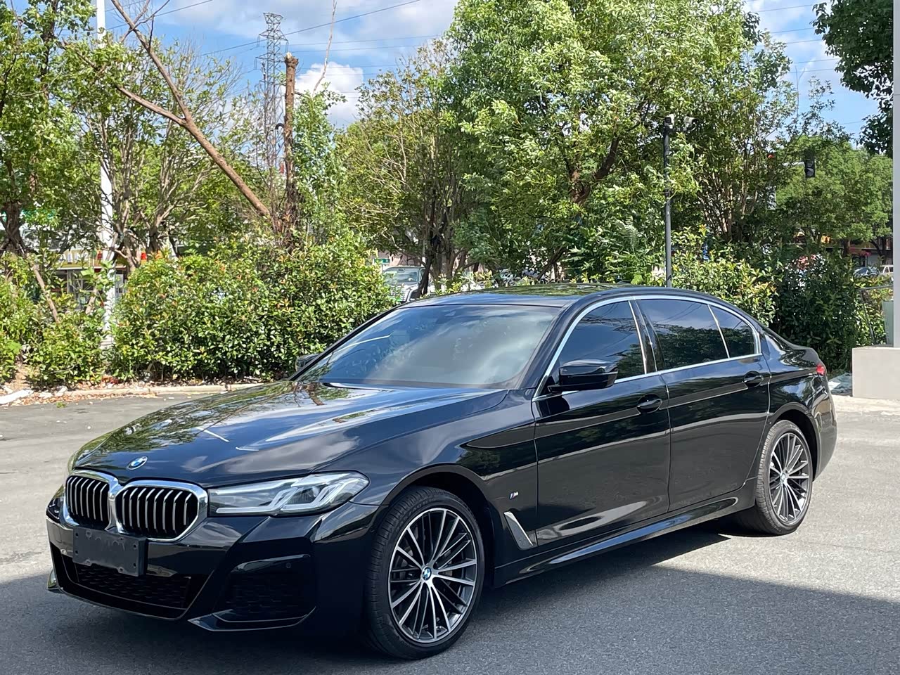 BMW5 Series 2022 530Li Leading M Sport Package