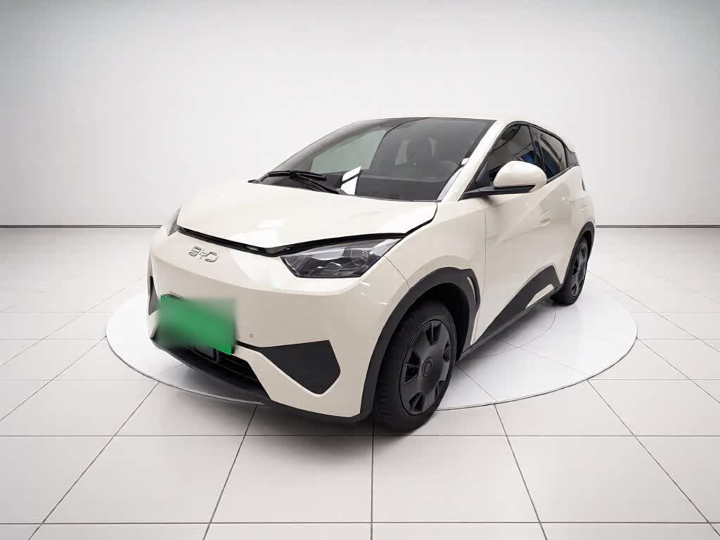 Seagull 2025 ADAS 305km